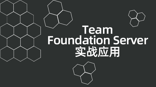 Team Foundation Server实战应用